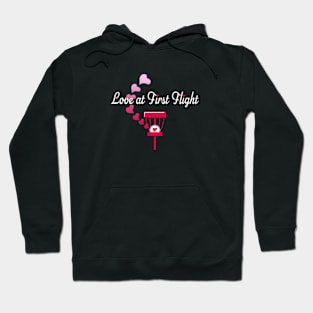 Disc Golf - Love at First Flight Hoodie